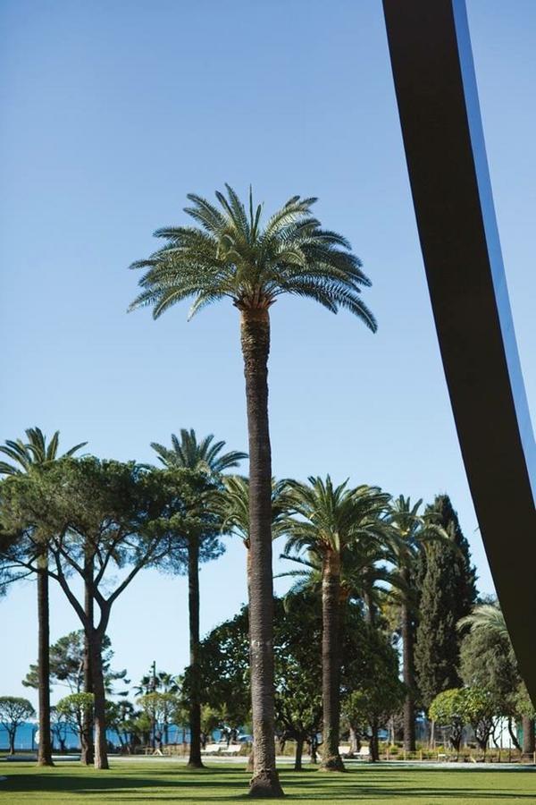 Grand H -F2, Face Vieux- Nice, Terrasse, Ascenseur, Climatisation, Terrace - Nice City Center Exterior photo